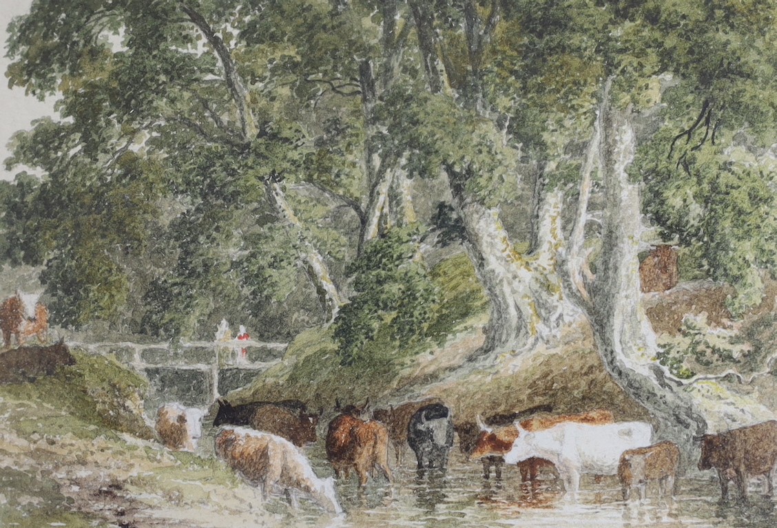 Robert Hills (1764-1844), watercolour, Cattle watering in a stream, 8.5 x 12.5cm